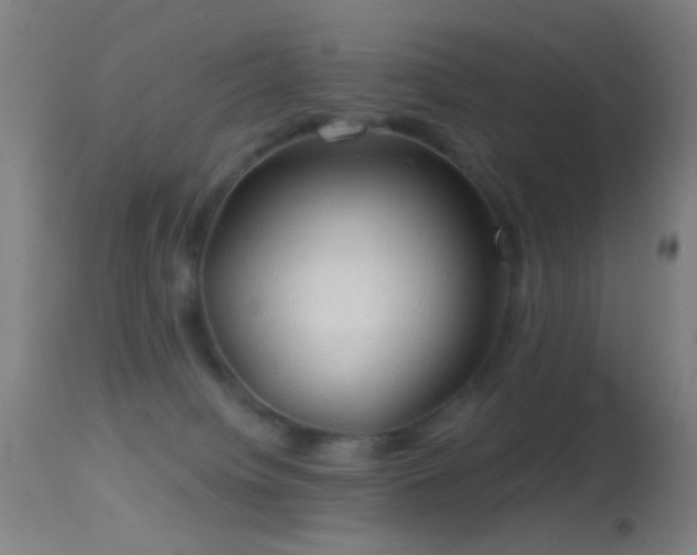 X0000114650084200910201518