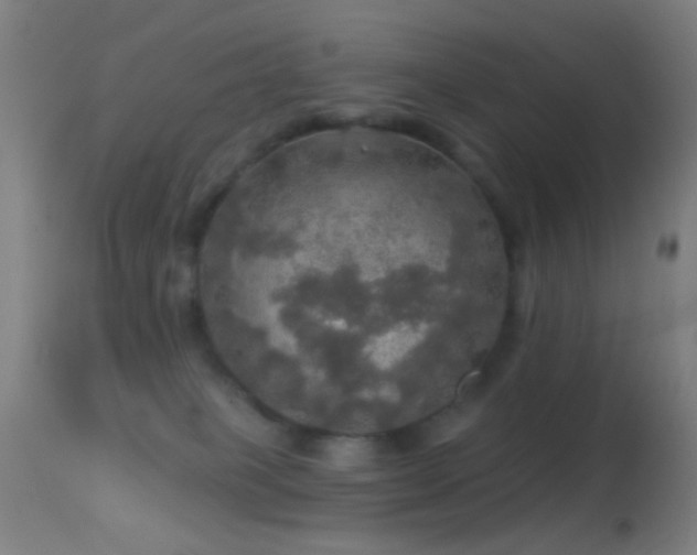 X0000114650085200910201518