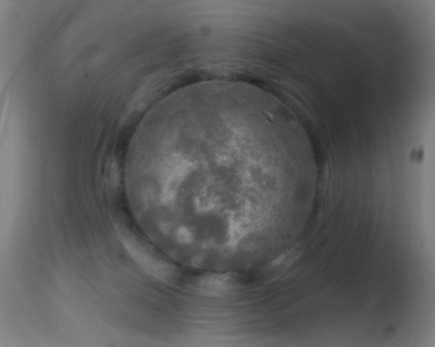 X0000114650086200910201518