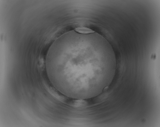 X0000114650087200910201518