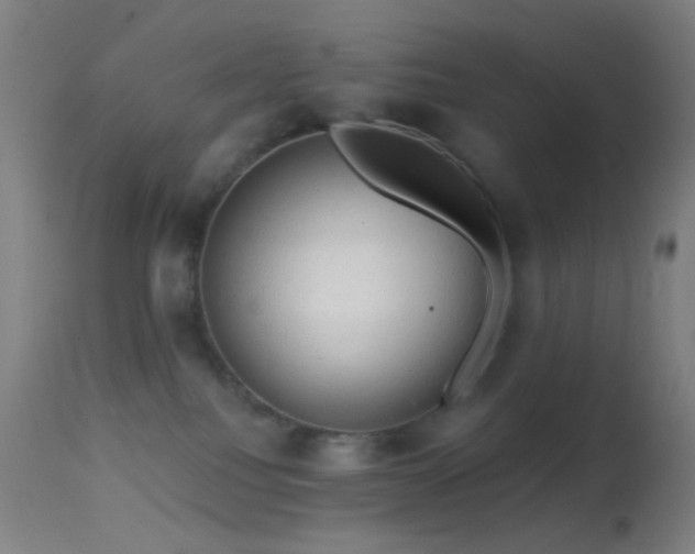 X0000114650088200910201518