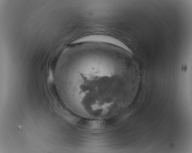 X0000114650089200910201518