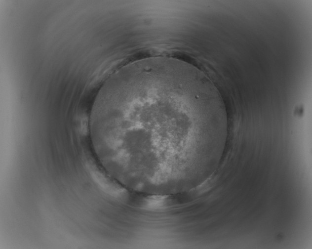 X0000114650090200910201518