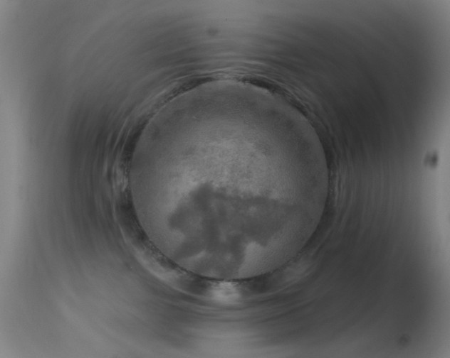 X0000114650091200910201518