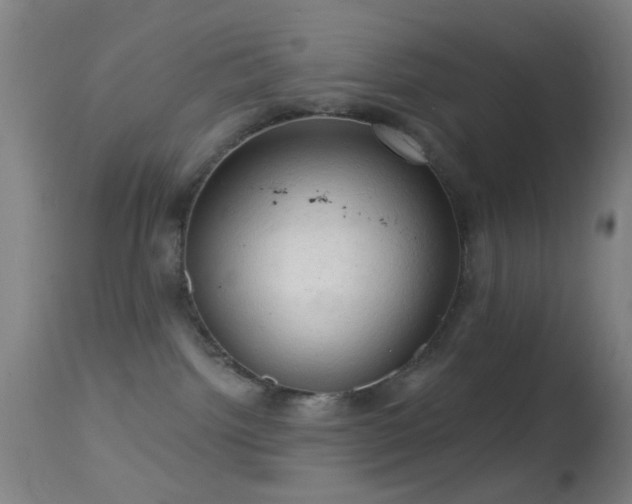 X0000114650092200910201518