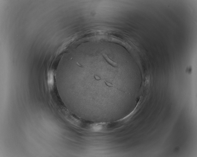 X0000114650094200910201518