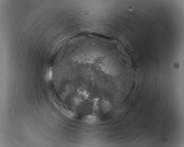 X0000114650095200910201518