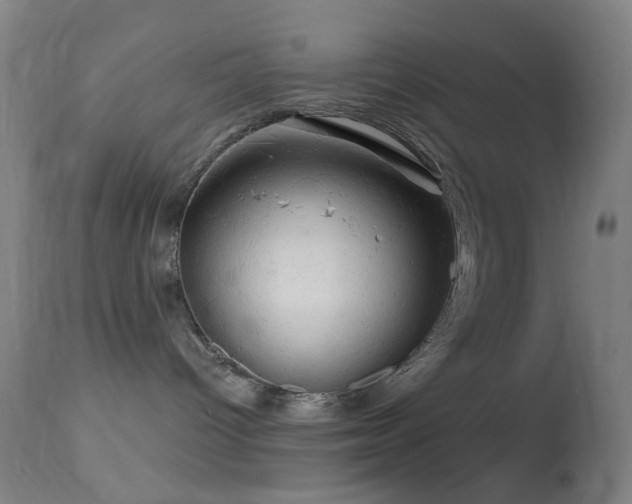 X0000114650096200910201518