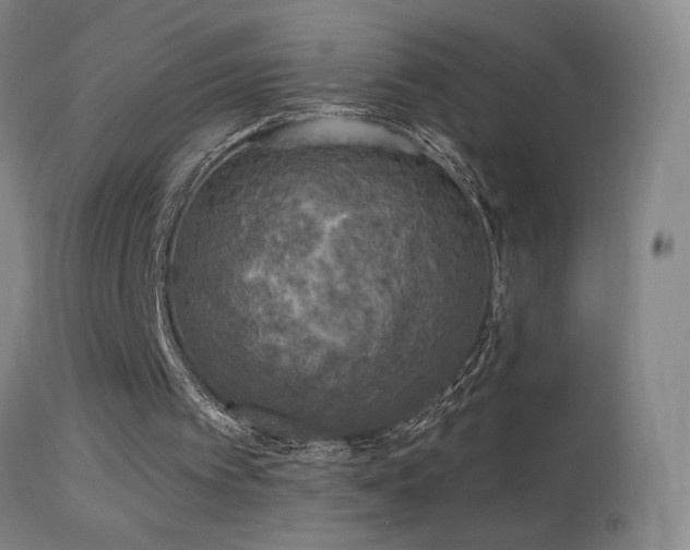 X0000114650097200910201517