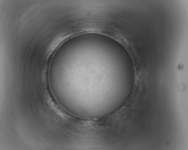 X0000114650098200910201517