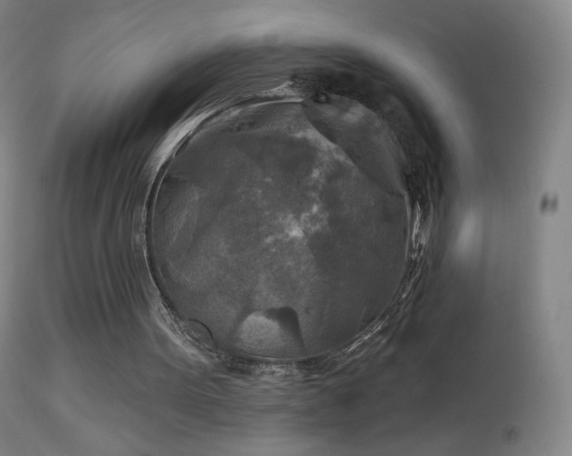 X0000114650099200910201517