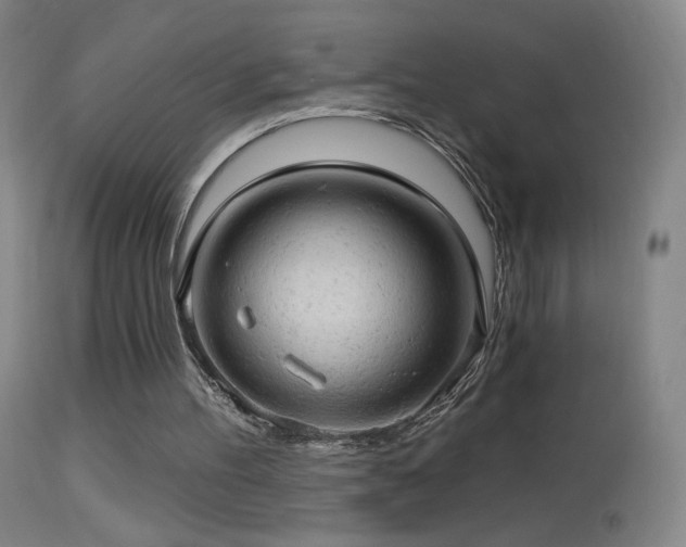 X0000114650100200910201517