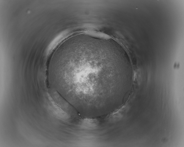 X0000114650101200910201517