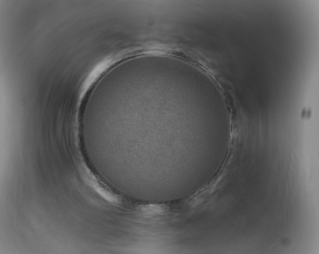 X0000114650102200910201517