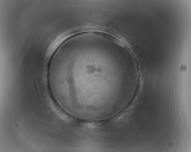 X0000114650103200910201517