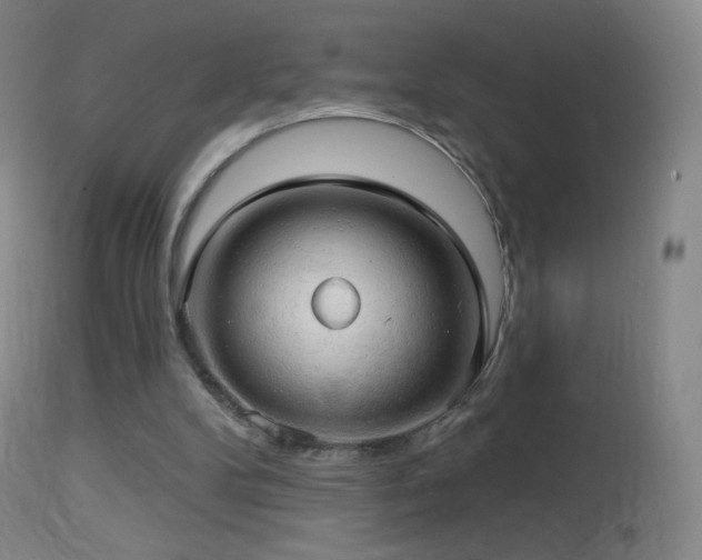 X0000114650104200910201517