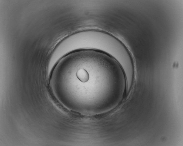 X0000114650105200910201517