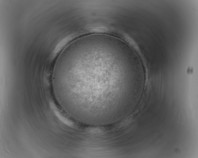 X0000114650106200910201517