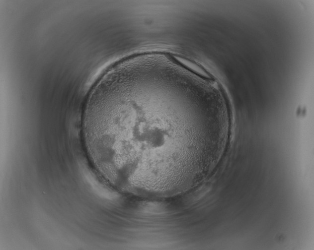 X0000114650107200910201517