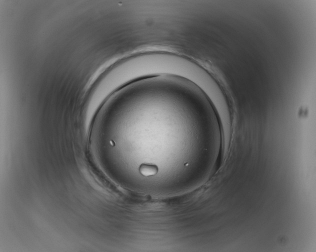 X0000114650108200910201517