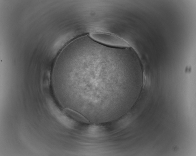 X0000114650109200910201517