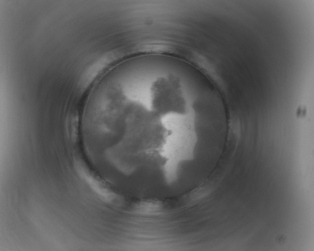 X0000114650110200910201517