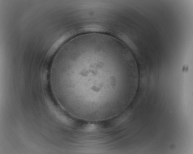 X0000114650111200910201517