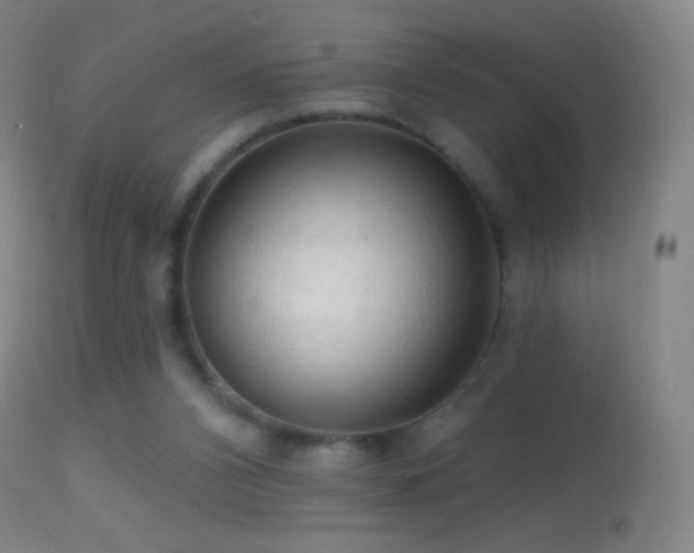 X0000114650112200910201517