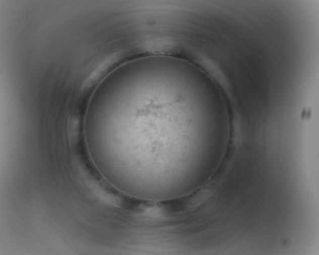 X0000114650113200910201517