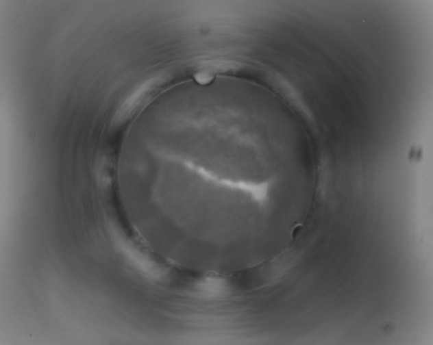 X0000114650114200910201517