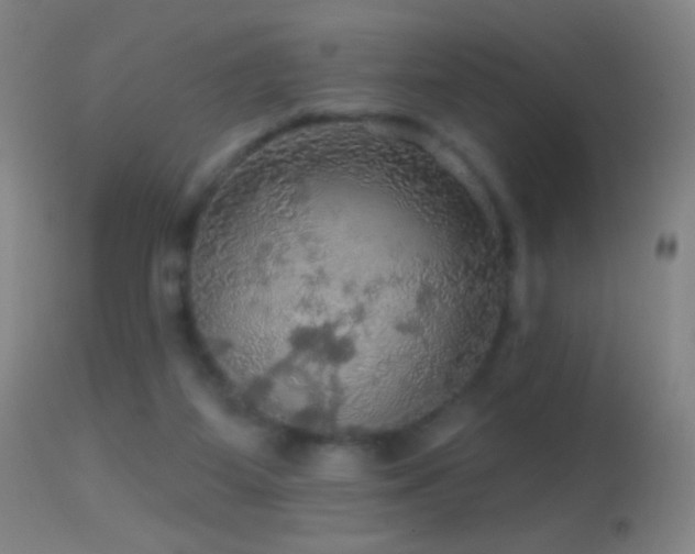 X0000114650115200910201517