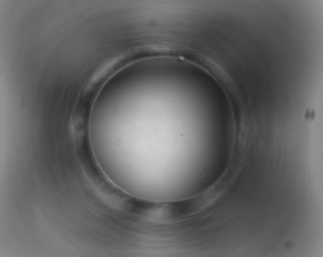 X0000114650116200910201517