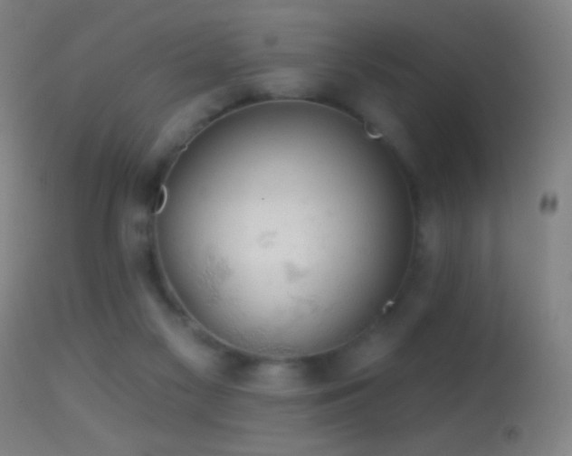 X0000114650117200910201517