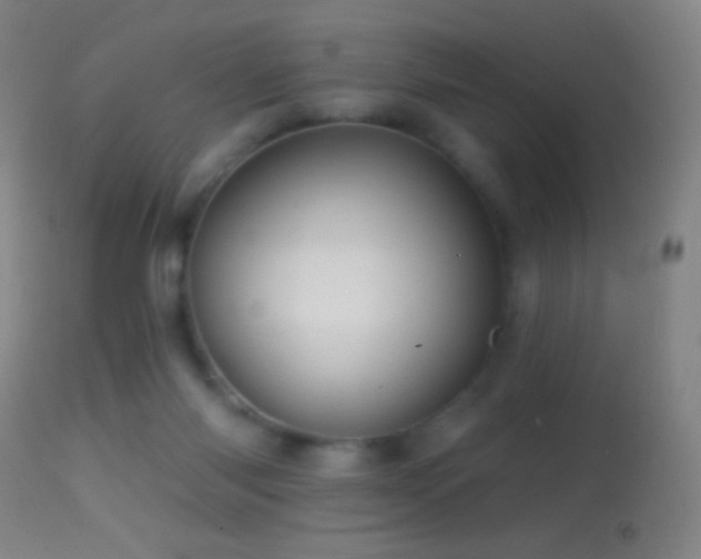 X0000114650118200910201517