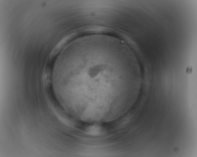 X0000114650119200910201517