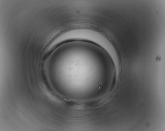 X0000114650120200910201517