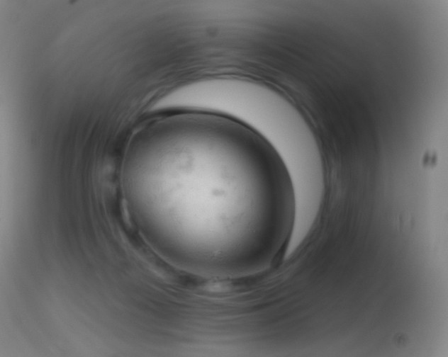 X0000114650121200910201517