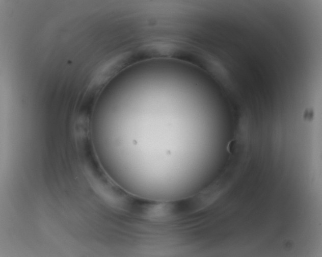 X0000114650122200910201517