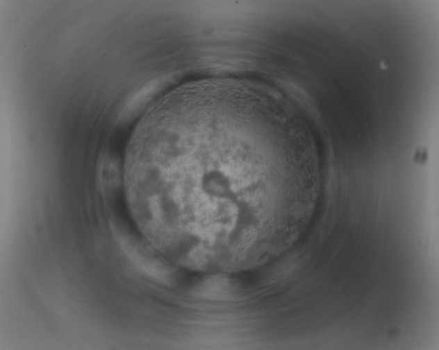 X0000114650123200910201517