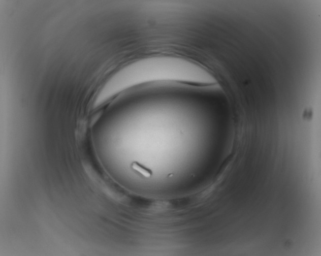 X0000114650124200910201517