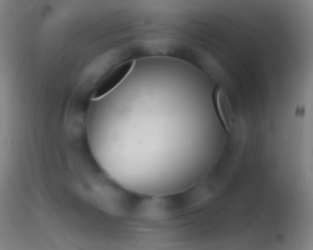 X0000114650125200910201517