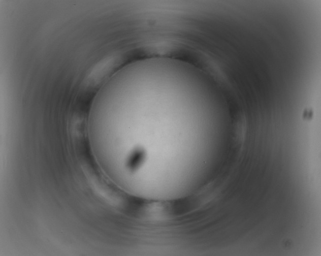 X0000114650126200910201517