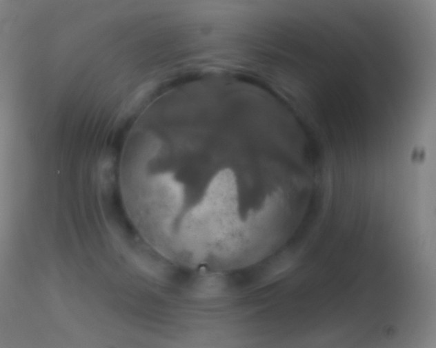 X0000114650127200910201517