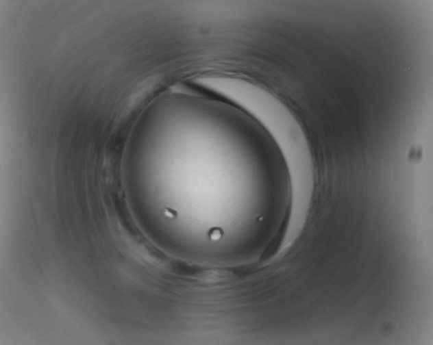 X0000114650128200910201517