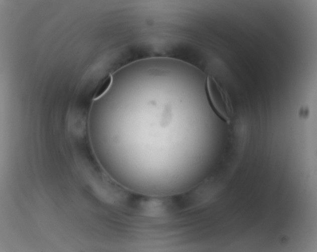 X0000114650129200910201517