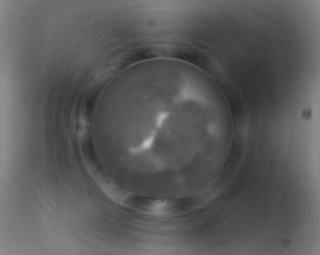 X0000114650130200910201517