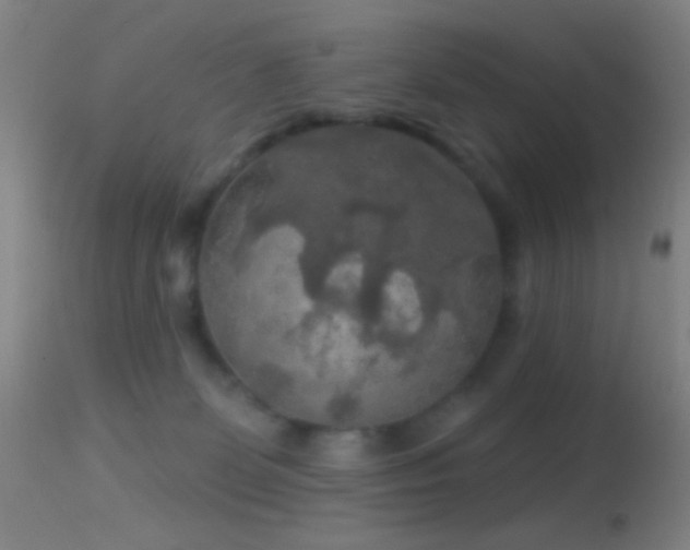 X0000114650131200910201517