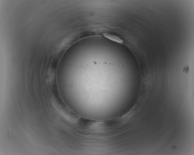 X0000114650132200910201516