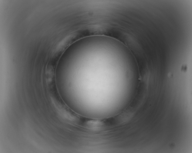 X0000114650133200910201516