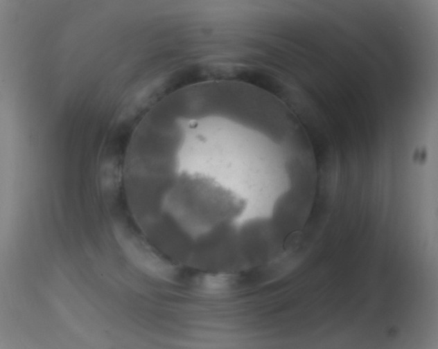 X0000114650134200910201516